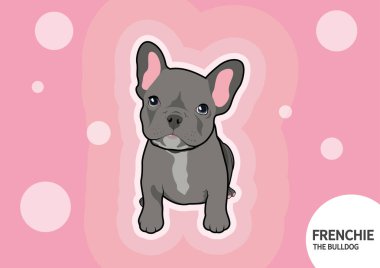 Pembe retro disko arka planında şirin bir Fransız Bulldog köpeği. Bu Fransız tarzıyla kendimi sevimli ve komik hissediyorum..