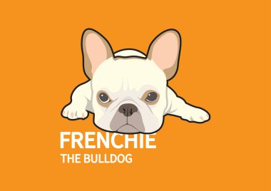 Kızgın şirin Fransız Bulldog Logosu. Öfkeli Fransız Bulldog logosu vektör tasarımında. Tek bir amblemde vahşet ve şirinliğin eşsiz bir karışımı..