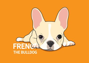 Yatağındaki şirin Fransız Bulldog 'u, düz renkli tasarlanmış. Minimum sanat ama çeşitli kullanım alanları var..