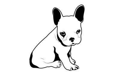 Tatlı Fransız Buldog Köpeği Siyah ve Beyaz Giyen Uykulu Hissediyor. Uykulu bir Fransız Bulldog köpeğinin siyah-beyaz çizimi. Sevimli tasarım şirinliği ve konforu yakalıyor..