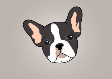 Tatlı İki Tonlu Fransız Bulldog 'u. Çok yönlü kullanımı olan sevimli bir Fransız Bulldog 'unun minimalist vektör çizimi. Basit ama büyüleyici bir tasarım..