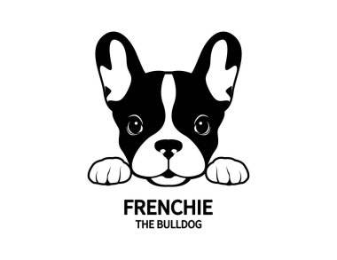 Tatlı Fransız Bulldog abur cuburlarını bekliyor. Siyah beyaz logolu, tavşan kulaklı tatlı Fransız. Tatlı bir Fransız Bulldog 'unun vektör illüstrasyonu heyecanla ödül bekliyor..