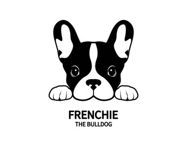 Tatlı Fransız Bulldog abur cuburlarını bekliyor. Siyah beyaz logolu, tavşan kulaklı tatlı Fransız. Tatlı bir Fransız Bulldog 'unun vektör illüstrasyonu heyecanla ödül bekliyor..