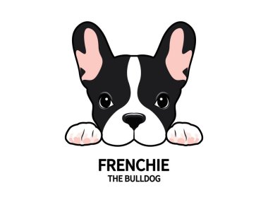 Tatlı Fransız Bulldog abur cuburlarını bekliyor. Tavşan kulaklı tatlı Fransız. Tatlı tavşan kulakları takan, abur cubur bekleyen sevimli bir Fransız Bulldog 'unun vektör çizimi..