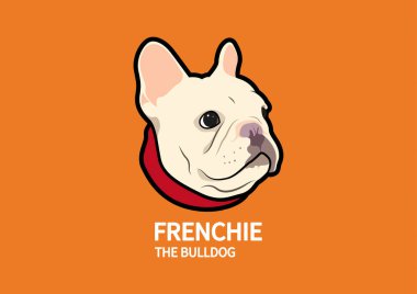 Turuncu arka planda kahverengi tombul Fransız Bulldog logosu sembolü. Turuncu arka planda kahverengi tombul bir Fransız Bulldog logosunun vektör çizimi.
