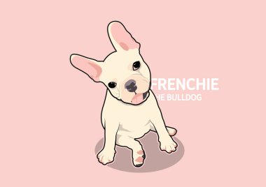 Küçük sevimli bir Fransız pembe arka planda oturuyor ve sevimli bir aksiyon pozu veriyor. Sevimli, küçük bir Fransız Bulldog 'unun pembe bir arka planda oturuşunun vektör çizimi..