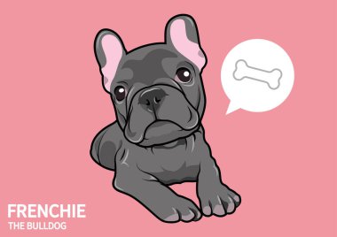 Şirin Mavi Fransız Bulldog onu besleyecek birini bekliyor. Tatlı mavi bir Fransız Bulldog 'unun yemek için sabırsızlıkla beklediği vektör çizimi. Oyuncu ve sevimli tasarım.