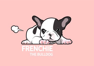Şirin siyah beyaz Fransız Bulldog köpeği, somurtuyor ve sonra pembe arka planda moralini düzeltmek için osuruyor..