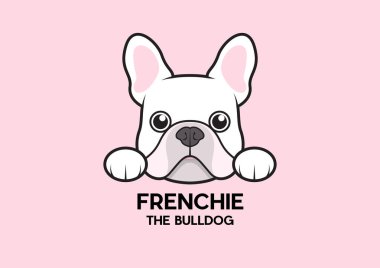 Tatlı küçük bir Fransız masanın kenarına sıkışmış ve biraz yemek bekliyor. Beyaz-pembe Fransız Bulldog Logosu. Bu Fransız serisi, portre tarzı..