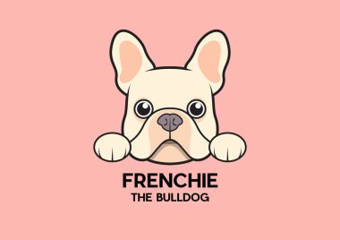 Tatlı küçük bir Fransız masanın kenarına sıkışmış ve biraz yemek bekliyor. Kahverengi kremalı Fransız Bulldog Logosu. Bu Fransız serisi, portre tarzı..
