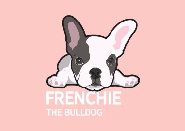 Tatlı, tembel bir Fransız Bulldog yerde yatıyor. Bunu tasarım elementinize köpek stilinde yapabilirsiniz.
