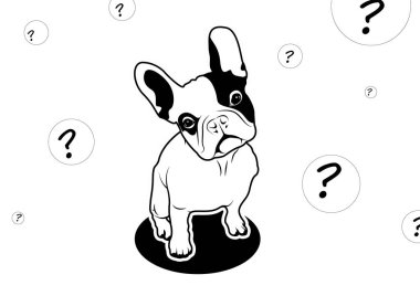 Fransız bulldog 'u ve sersemlemiş yüzü. Vektör çizimi bir Fransız Bulldog 'unun şaşırmış yüzünü yakalıyor. Oyuncu ve anlamlı tasarım.