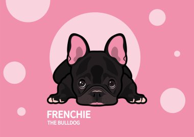 Şirin Fransız pembe arka planda sıkıcı bir havada yerde yatıyor. Tatlı bir Fransız Bulldog 'unun, pembe bir arka planda sönük bir şekilde uzanmasının vektör çizimi..