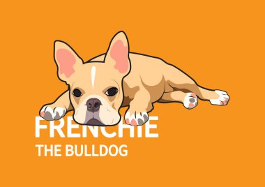 Tatlı bir Fransız Bulldog turuncu arka planda yere yattı. Portakal rengi arka planda yerde yatan sevimli bir Fransız Bulldog 'un vektör çizimi. Sevimli ve sakinleştirici tasarım.