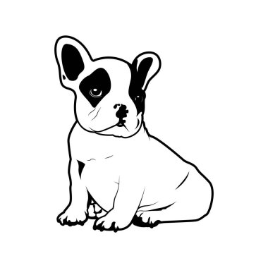 Yerde oturan tatlı küçük bir Fransız var. Fransız bulldog logosu simgesi siyah ve beyaz tarzında. Yerde oturan sevimli bir Fransız Bulldog 'unun vektör çizimi. Siyah beyaz logo Fransız 'ın cazibesini sembolize ediyor..