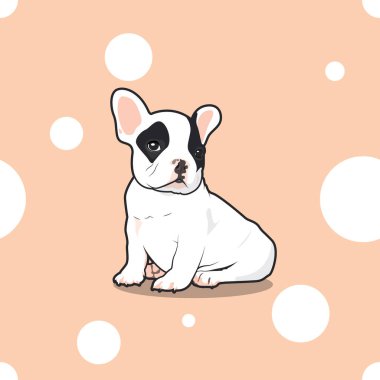 Şirin küçük Fransız beyaz noktasız desenli arka planda oturuyor. Bir şey mi arıyor??