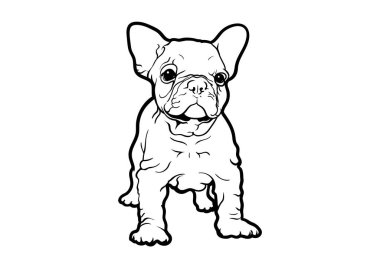 Kırışıklık stili dövmeli Fransız Bulldog Siyah ve Beyaz Logo Vektörü. Kırışıklık stili stil dövmeli Fransız Bulldog 'unun siyah ve beyaz vektör çizimi. Eşsiz ve göze çarpan bir marka..