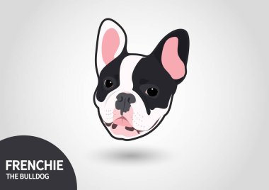 Şirin bir Fransız portresi. Gri stüdyo arka planında iki tonluk Fransız Bulldog 'u. Büyüleyici vektör çizimi bir Fransız Bulldog 'unun sevimli kişiliğinin tapılası özünü yakalıyor..