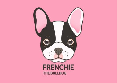 Pembe arka planda şirin Fransız Bulldog suratı. Bir Fransız yavrusunun şirinliğini yansıtan vektör çizimi. Sevimli ve göz alıcı..