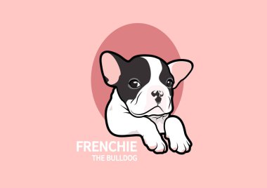 Tatlı bir Fransız Bulldog köpeği pembe arka plandaki küçük açık tünelde poz veriyor. Ne kadar sevimli. Çekici bir vektör, dışarı bakan sevimli bir yavruyu canlandırıyor. Çekici ve iç açıcı bir sahne..