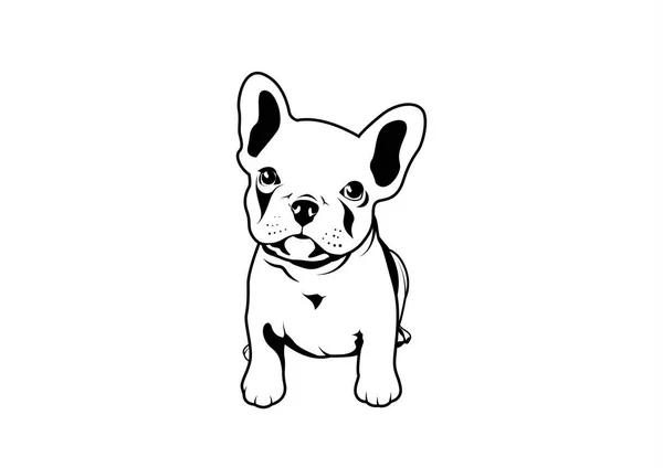 可爱的法国斗牛犬小狗 对这种法国风格感到可爱和有趣 用这个迷人的矢量图来捕捉一只可爱的法国斗牛犬的可爱而有趣的本质 — 图库矢量图片
