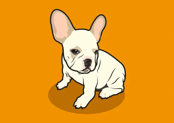 Lindo Bulldog Francés Regordete Sus Orejas Conejo Adorable Fondo Color — Vector de stock