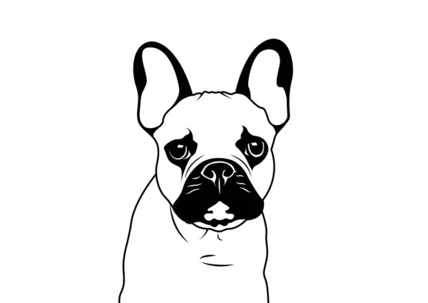 Cute French Bulldog His Eyebrow Black White Adorable Black White — Stock Vector