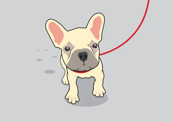 Lindo Bulldog Francés Marrón Corriendo Con Correa Roja Adorable Francés — Vector de stock