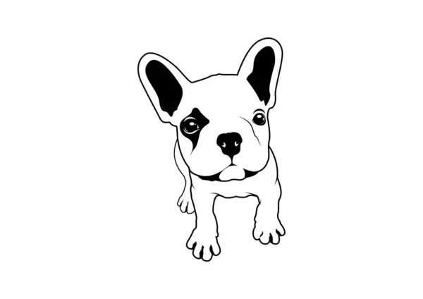 Bonito Bulldog Francês Olhando Para Proprietário Preto Branco Logo Vector — Vetor de Stock