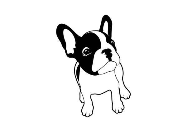 可爱的法国斗牛犬寻找一些食物黑色和白色标志向量 一个饥饿的法国斗牛犬可爱的黑白标识向量渴望寻找食物 有趣而迷人的宠物图解 — 图库矢量图片