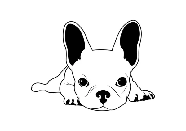 Lindo Bulldog Francés Cama Blanco Negro Dulce Representación Blanco Negro — Vector de stock