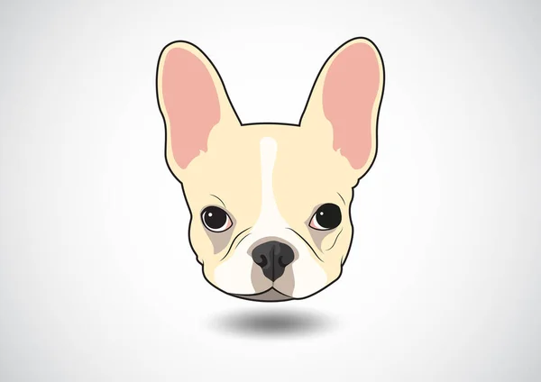 Cute Pied French Bulldog Puppy Face Captivating Pied French Bulldog — Stock Vector