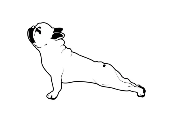 Exercício Yoga Bulldog Francês Bonito Preto Branco Encantador Vetor Preto — Vetor de Stock