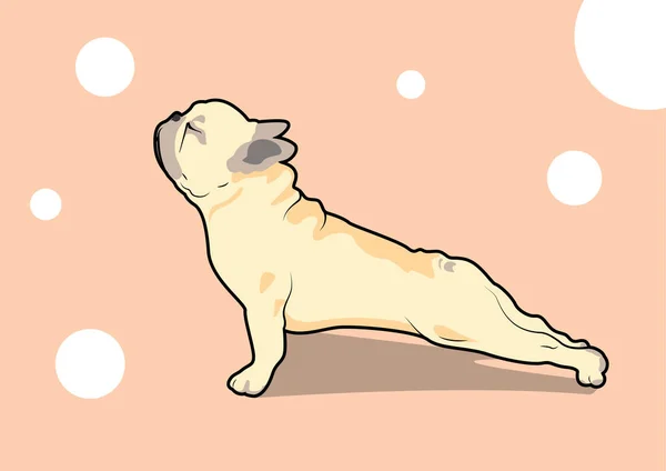 Lindo Ejercicio Yoga Bulldog Francés Diseñado Con Estilo Color Plano — Vector de stock