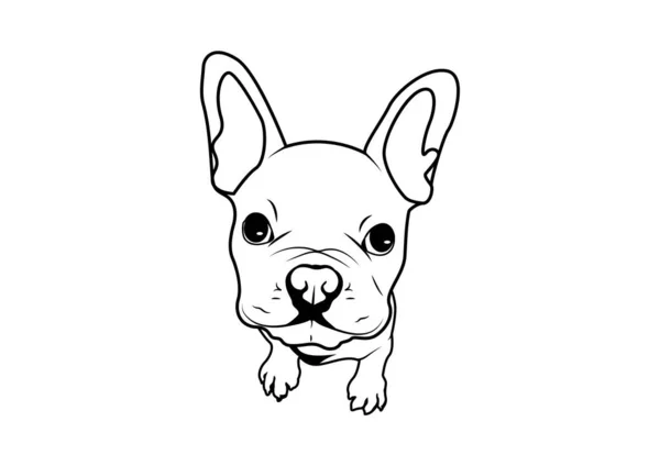 Χαριτωμένο Κουτάβι Γαλλικό Bulldog Face Μαύρο Και Άσπρο Γοητευτικό Ασπρόμαυρο — Διανυσματικό Αρχείο