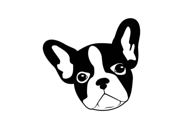 Söt Tvåtonad Fransk Bulldogg Svart Och Vit Logotyp Vektor Bedårande — Stock vektor