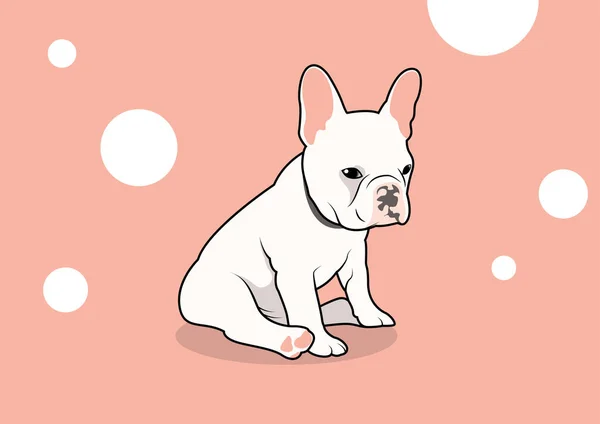 Pembe arka planda şirin beyaz-pembe Fransız Bulldog Vektörü. Beyaz ve pembe arkaplanlı şirin bir Fransız Bulldog 'unun vektör çizimi. Oyuncu ve sevimli tasarım.