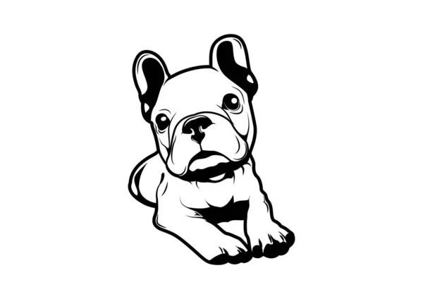 Roztomilý Blue French Bulldog Čeká Někdo Nakrmí Postava Karikatura Může — Stockový vektor