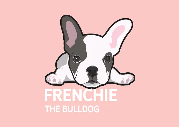 Tatlı, tembel bir Fransız Bulldog yerde yatıyor. Bunu tasarım elementinize köpek stilinde yapabilirsiniz.