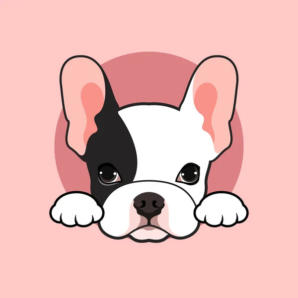 かわいい黒と白のフランスのブルドッグの子犬は ピンクの背景にある小さなオープントンネルにポーズします ピンクのBgに小さなトンネルでポーズする愛らしい黒と白のフランスのブルドッグの子犬のベクトルイラスト — ストックベクタ