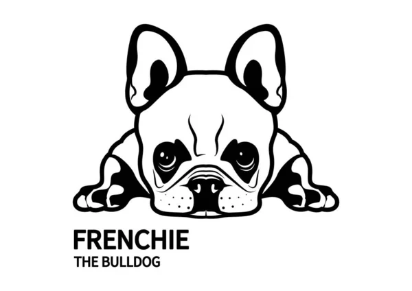 Fransız Bulldog, siyah beyaz şablon boyayla dizayn edilmiş sıkıcı bir havada yerde yatıyor..