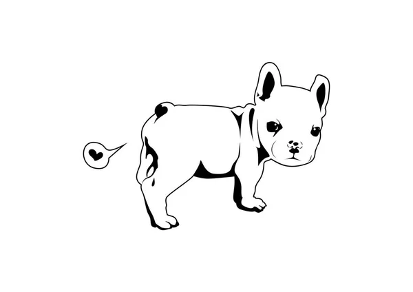 Frenchie Bulldog Fart Love ในส าและขาว อกฝร งเศสย นและมองกล บไปท — ภาพเวกเตอร์สต็อก