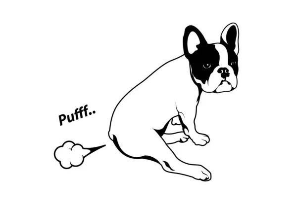 Niedliche Französische Bulldogge Und Sein Kleiner Furz Franzose Mit Der — Stockvektor