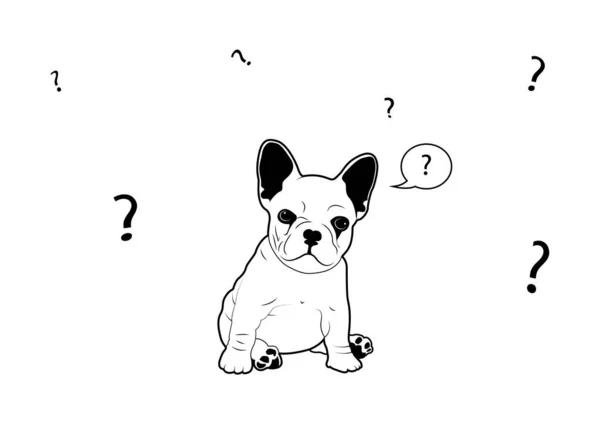 Französische Bulldogge Hat Ein Zweifelhaftes Schwarz Weißes Logo Schwarz Weiße — Stockvektor