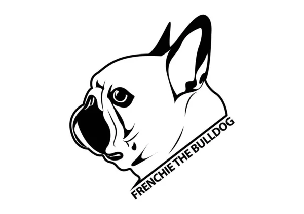 Fransız Bulldog Portresi Geri ve Beyaz. Vektör çizimi, bir Fransız Bulldog 'unun ifade edici özelliklerinin ebedi çekiciliğini yakalıyor. Klasik ve büyüleyici..
