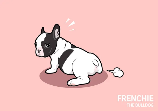 Şirin siyah ve beyaz bir Fransız Bulldog köpeği osuruyor ve bakıyor! Bu nasıl kokuyor? Pembe arka planda Fransız sanatı.