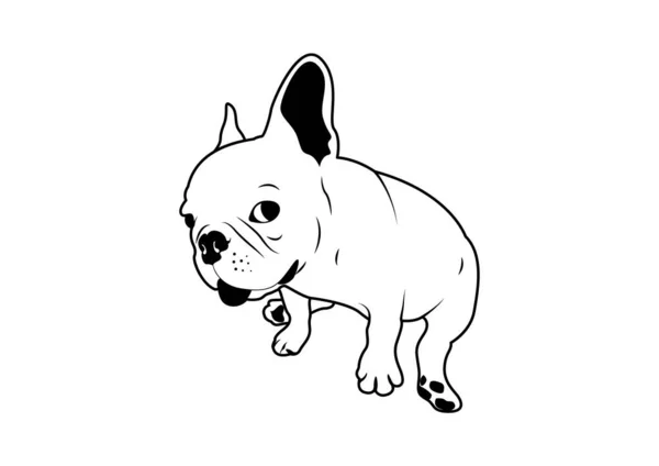Panic Cute French Bulldog Vector Para Camiseta Extraño Vector Bulldog — Archivo Imágenes Vectoriales