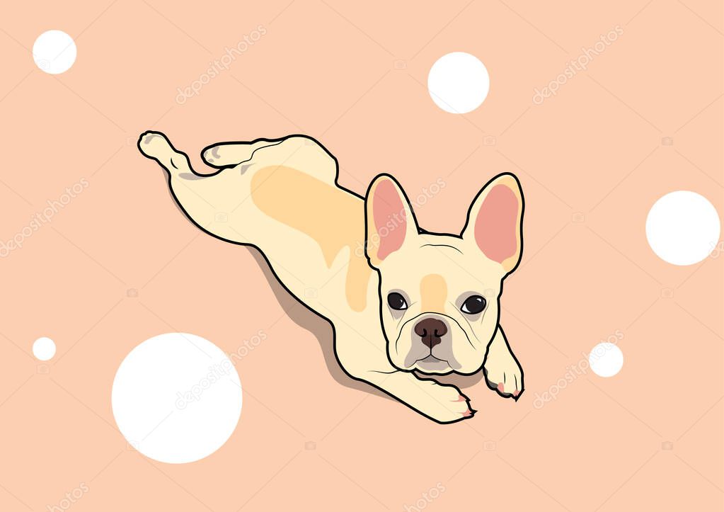 Cute French Bulldog Lies on The Floor. Adorable French Bulldog rests comfortably on the floor, capturing a moment of relaxation and cuteness in this vector design.
