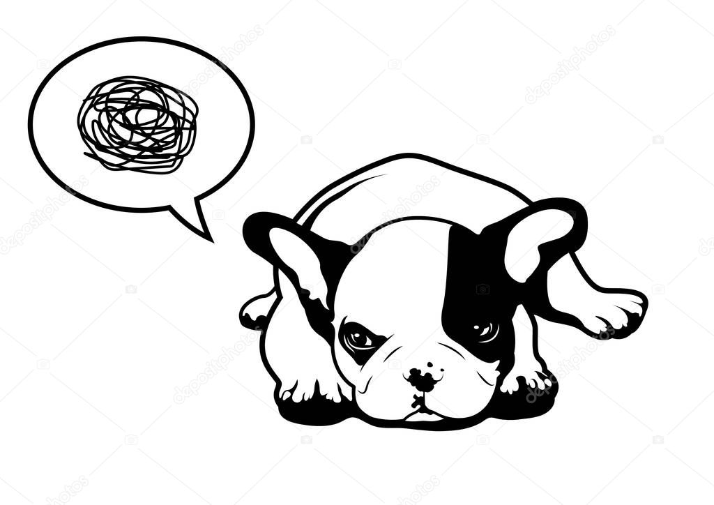 A pretty upset Frenchie.  A little French Bulldog is in an angry mood, lying down with a moody thinking balloon.