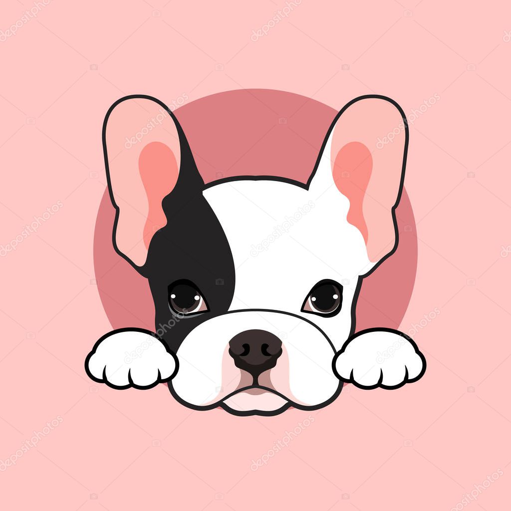 A cute black and white French Bulldog puppy poses at the small open tunnel in pink background. Vector illustration of an adorable black and white French Bulldog pup posing by a small tunnel on a pink BG.